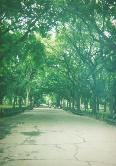 central park mall trees